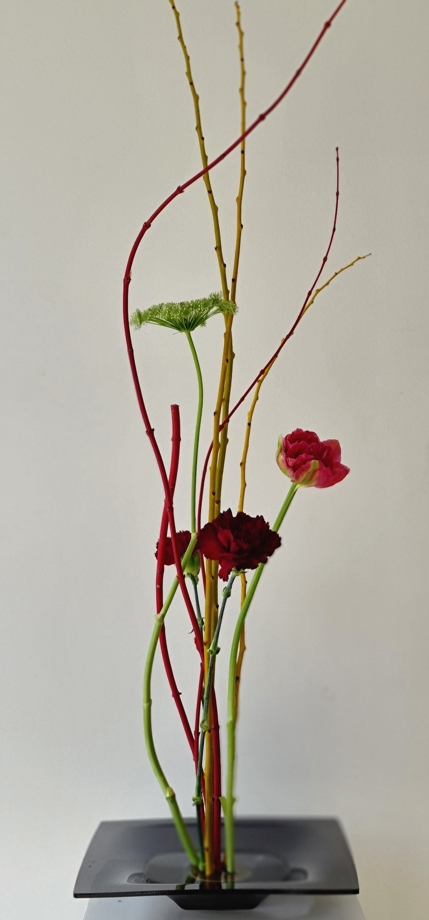 November 15 Saturday / Blossom & Balance Workshop: Ikebana for Emotional Wellbeing