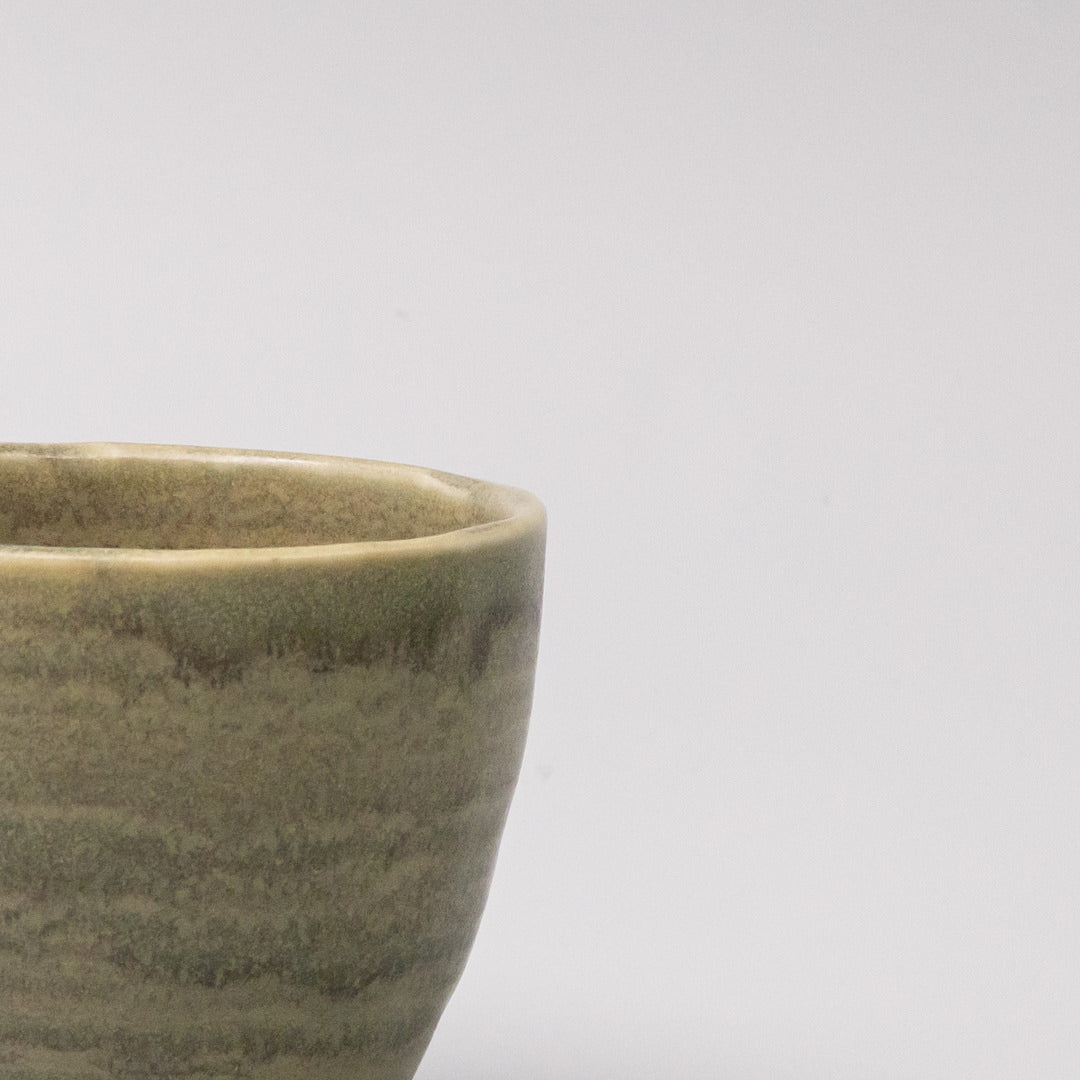 Mug 250ml Washed Fern