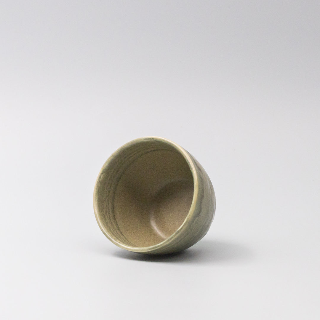 Mug 250ml Washed Fern