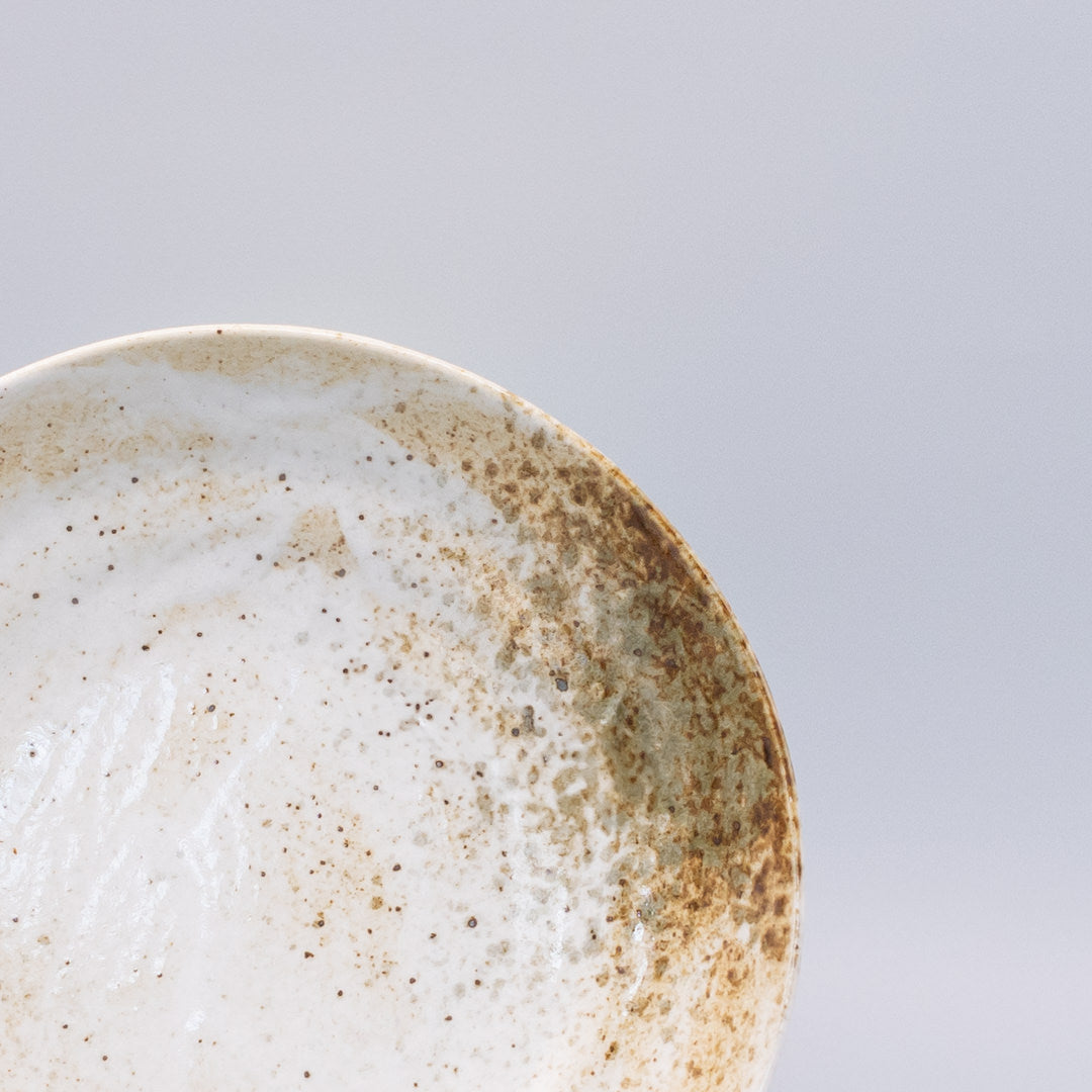 Pasta Bowl Flat Base 22.5cm Snow Bamboo Glaze