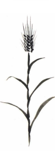 September 20 Saturday / Sumi-e Ink Wash Painting Workshop