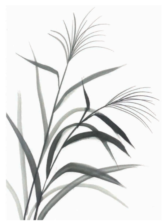September 20 Saturday / Sumi-e Ink Wash Painting Workshop