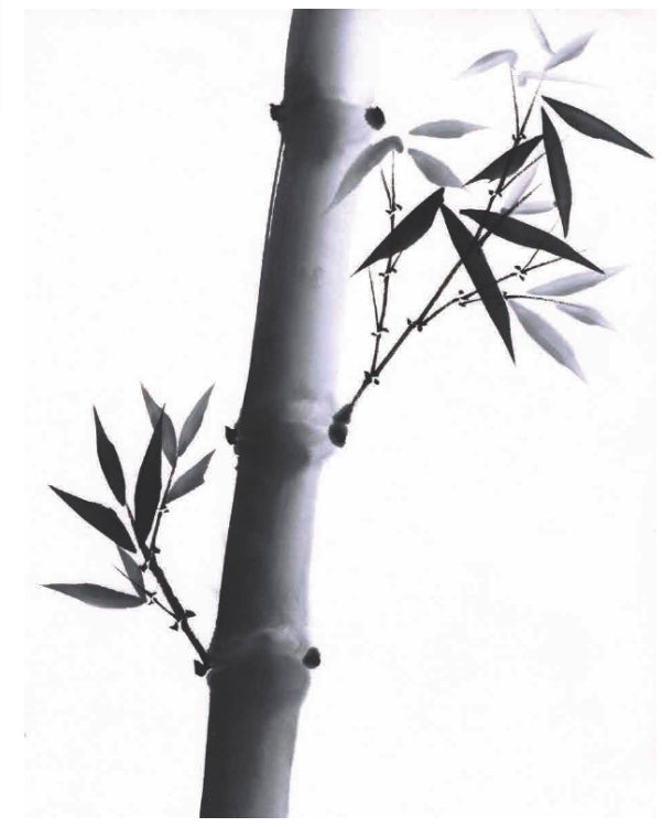 September 20 Saturday / Sumi-e Ink Wash Painting Workshop