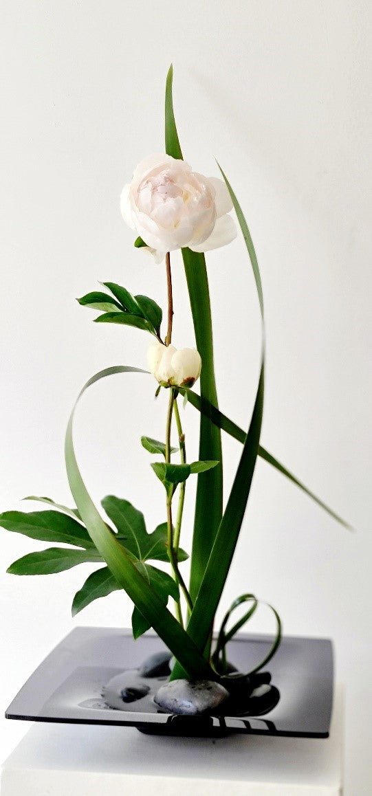 November 15 Saturday / Blossom & Balance Workshop: Ikebana for Emotional Wellbeing