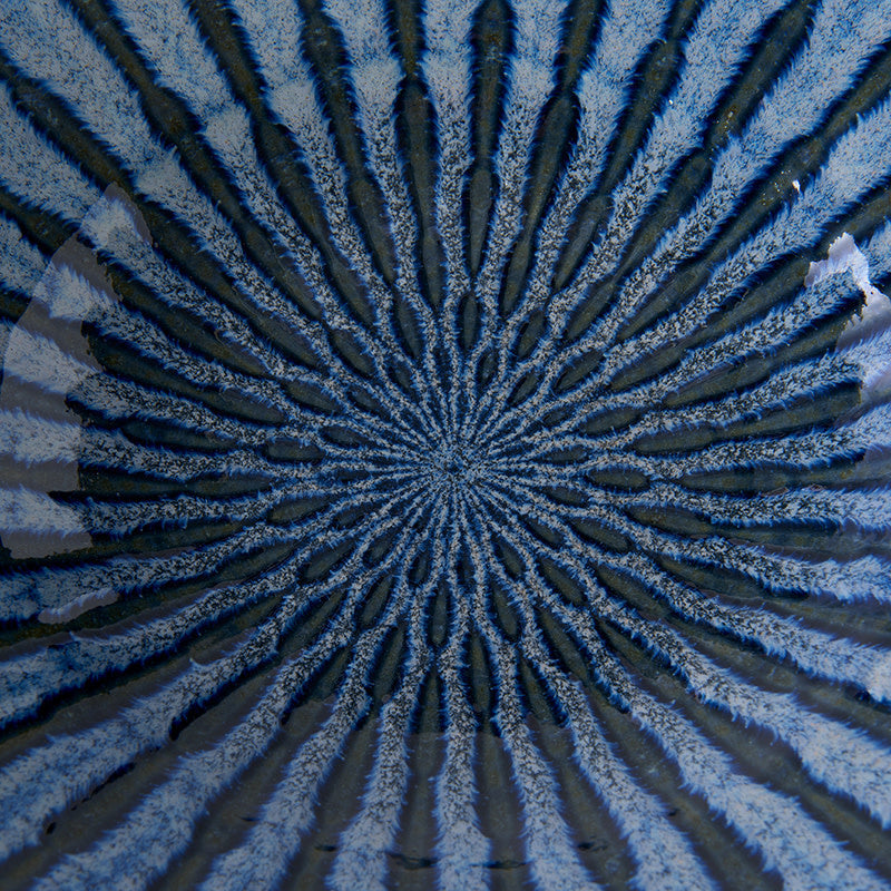 Pasta Bowl 24.5cm Indigo Drip Glaze