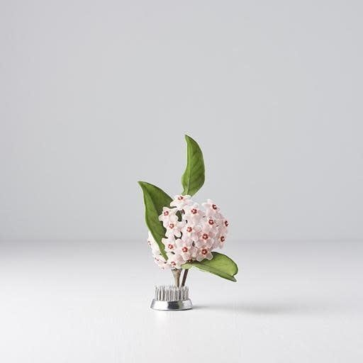 Kenzan, a Sturdy Floral Tool