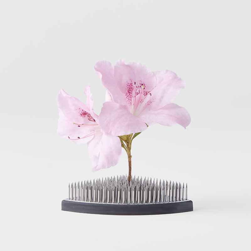 Floral Tool Fan 7.6cm Kenzan