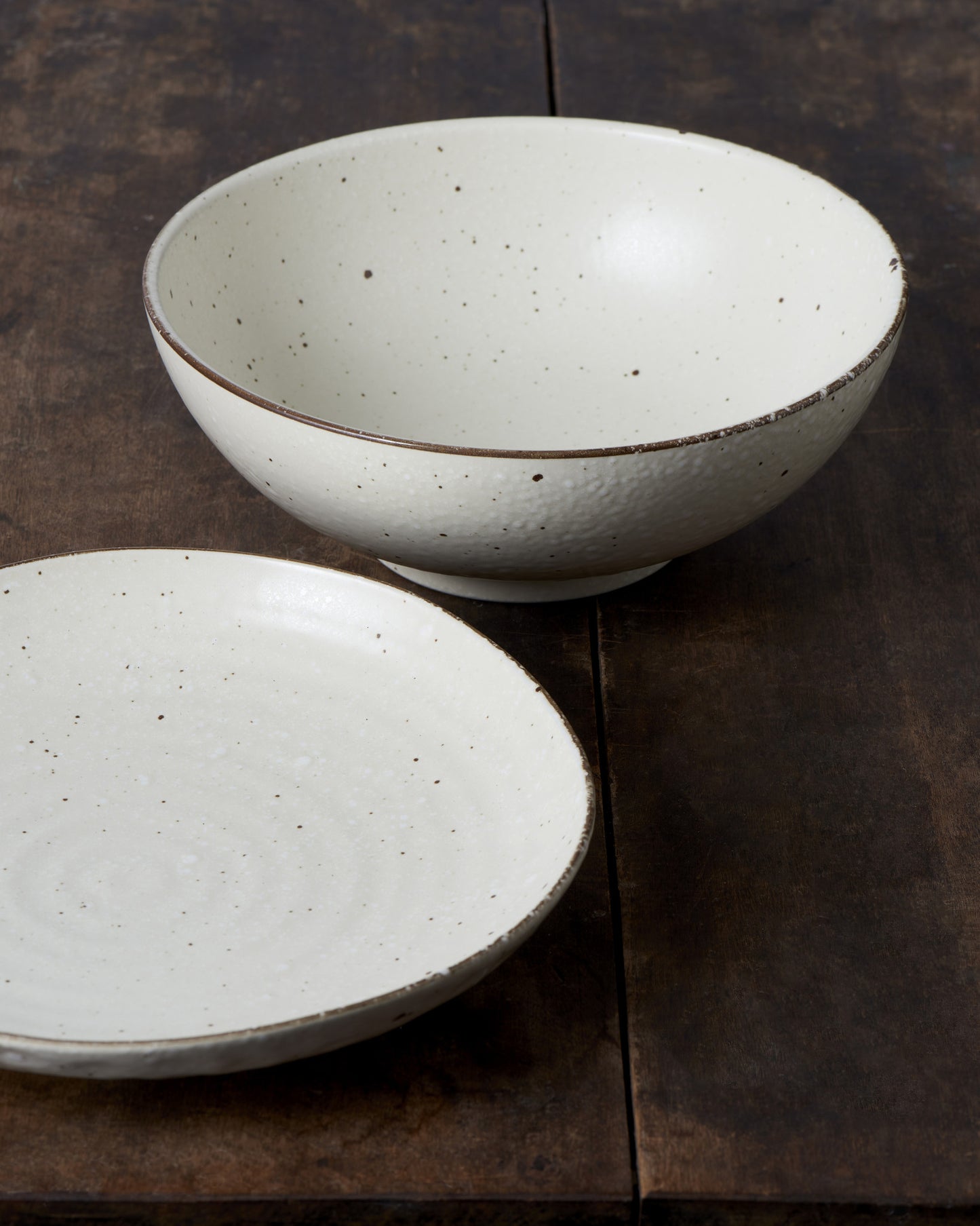 Bowl 21.5cm Fleck Glaze