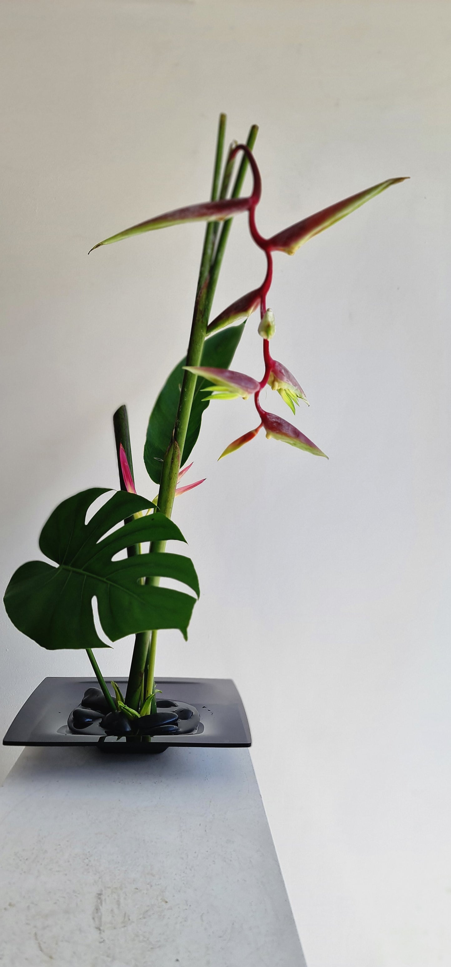 June 14 Saturday / Blossom & Balance Workshop: Ikebana for Emotional Wellbeing