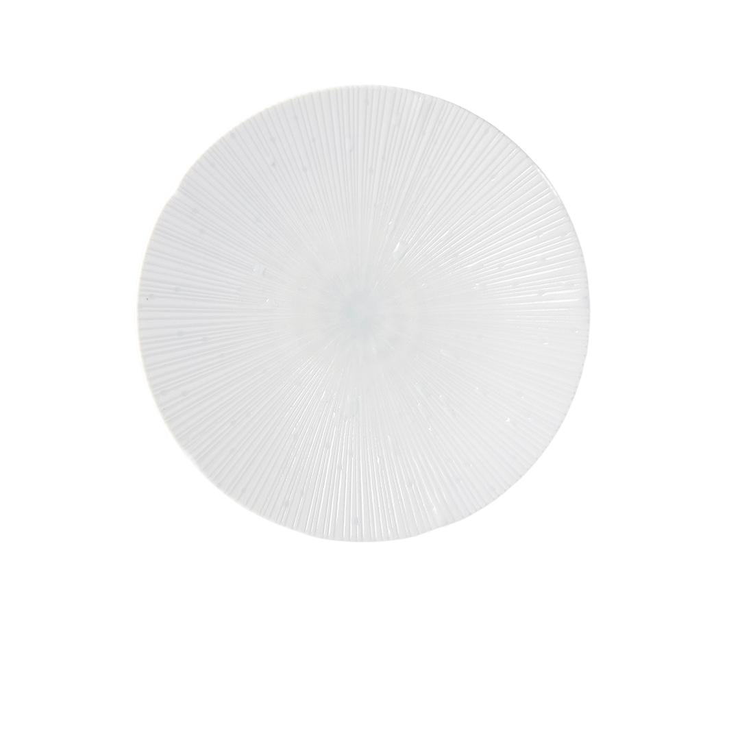 Ice White Dinner Plate 24.5 cm