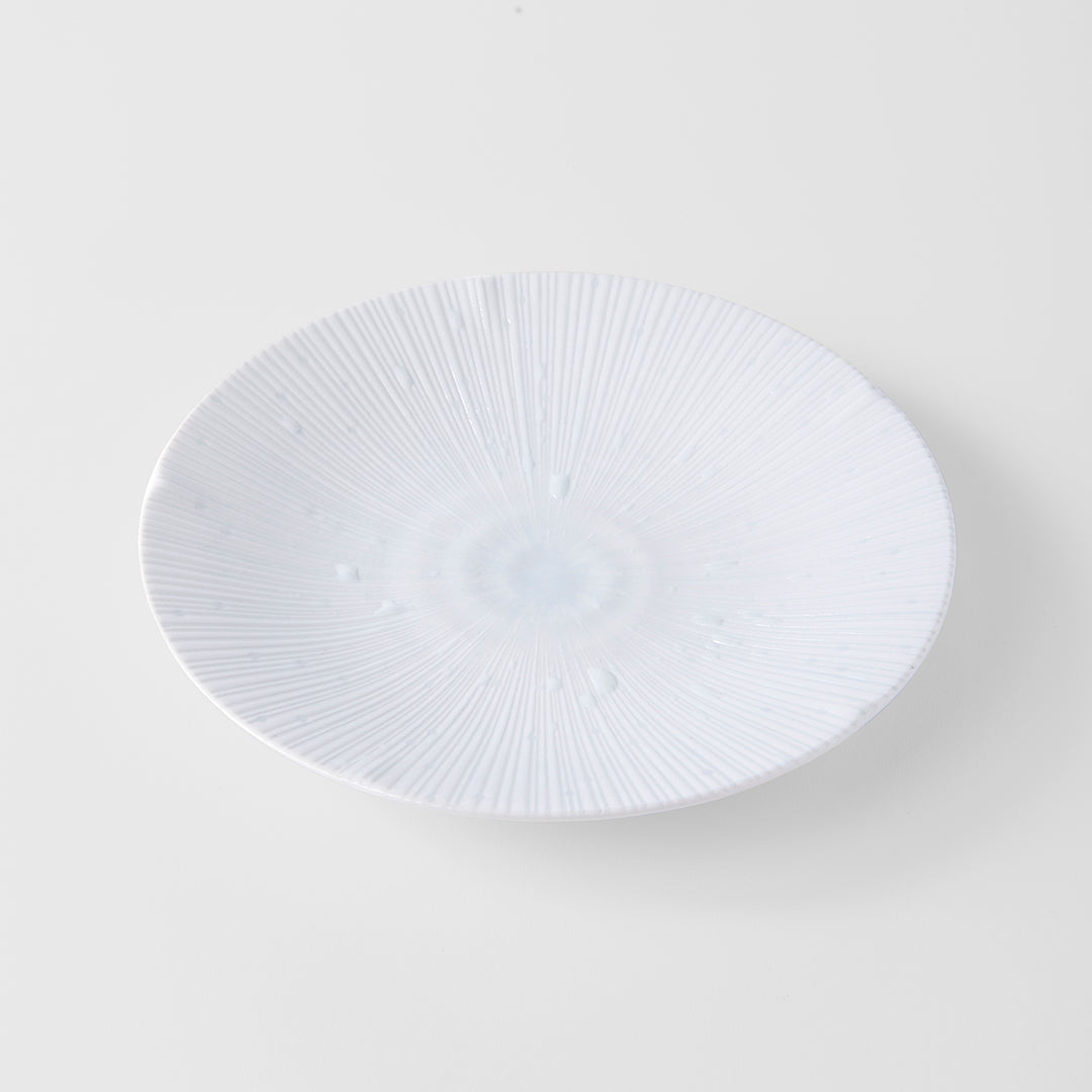 Ice White Dinner Plate 24.5 cm