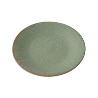 Green Fade Dinner Plate 28.5 cm