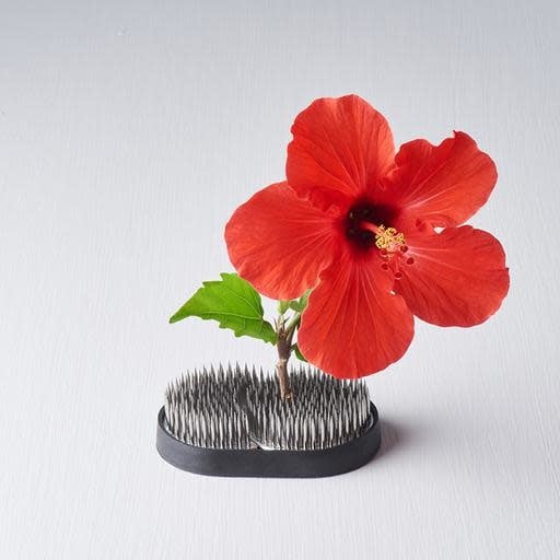 Floral Tool 9cm Joined Circles Kenzan