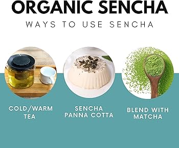 Organic Fukamushi Sencha Green Tea 100g by Teafy