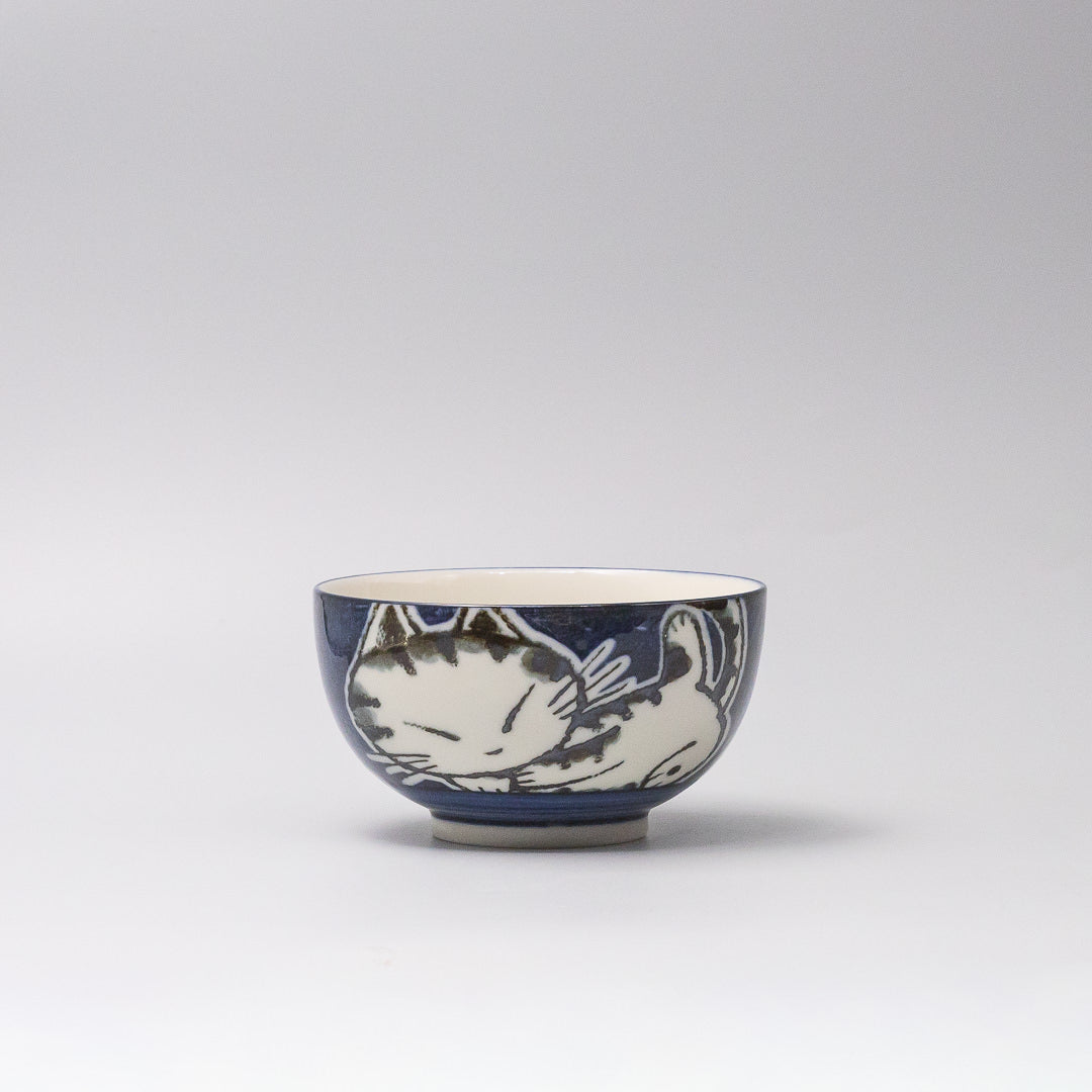 Japanese kids rice bowl cat illustration