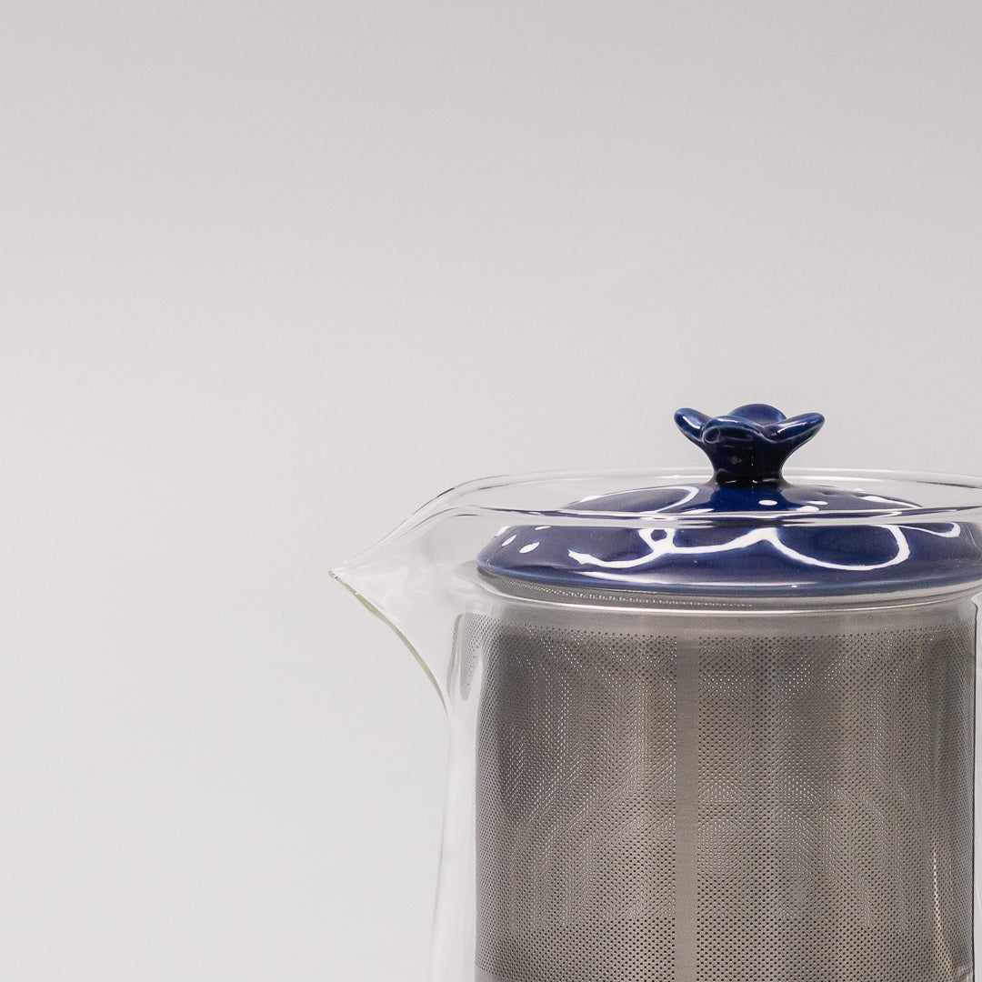 loose leaf tea pot with stainless infuser