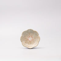 Saucer 10.5cm Hanakomachi Teal Glaze