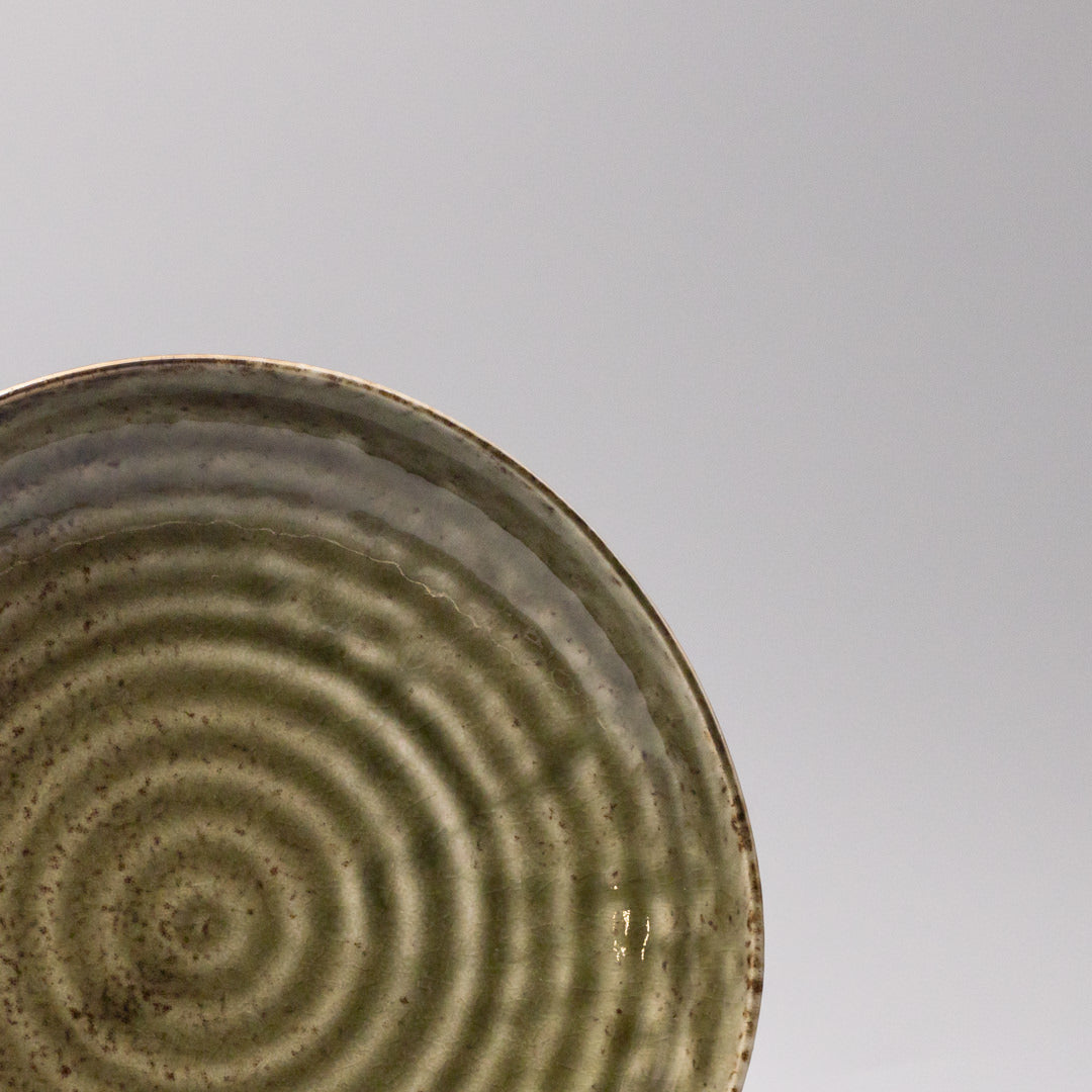 Sage green glaze ceramic dinner plate detail showing tonal variation