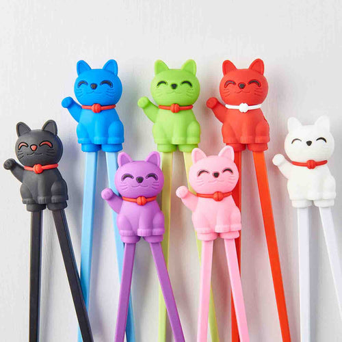 Kids Trainer Chopsticks